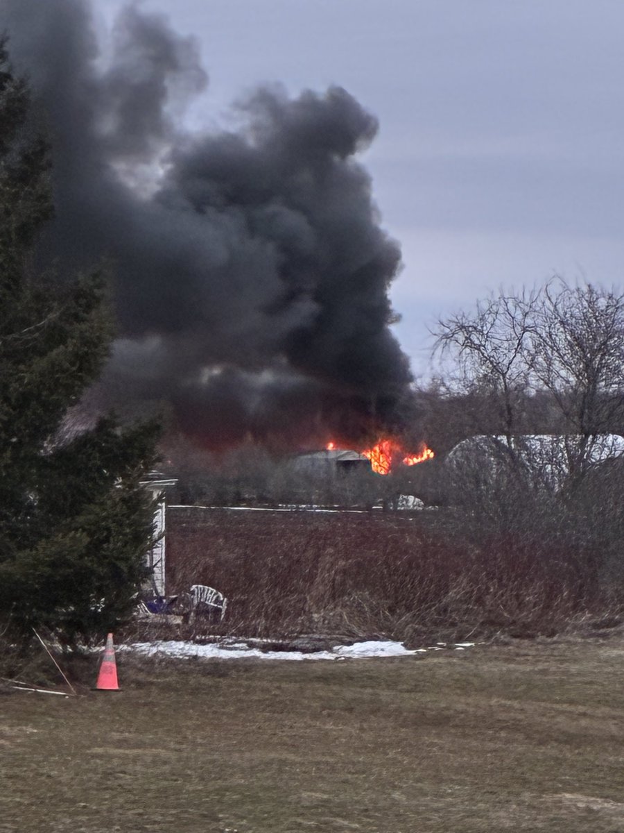 Gabriel Shepherd tweet media