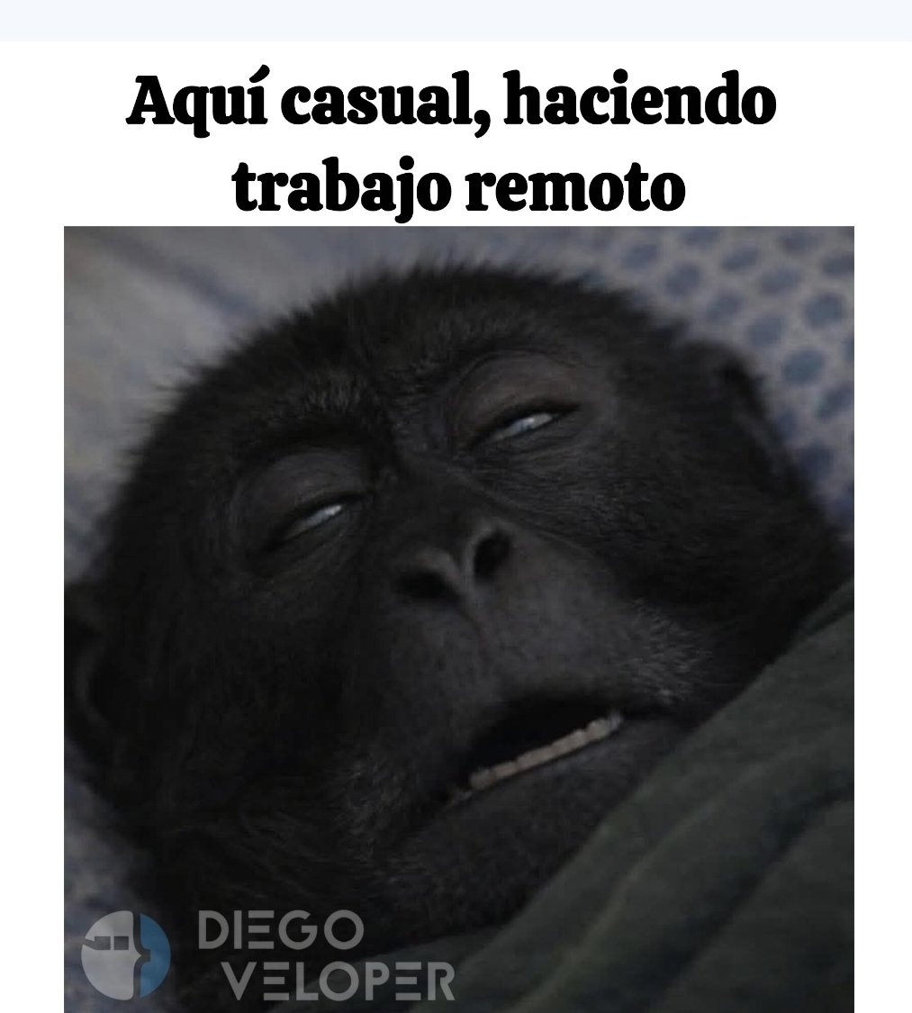Memes de programación tweet media