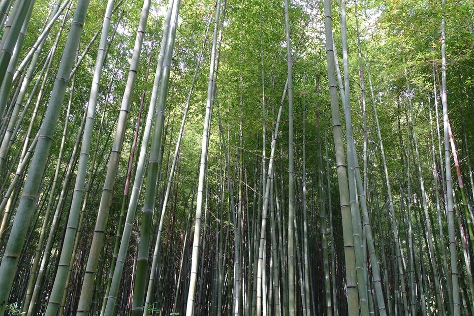 秘境通のなべ tweet media