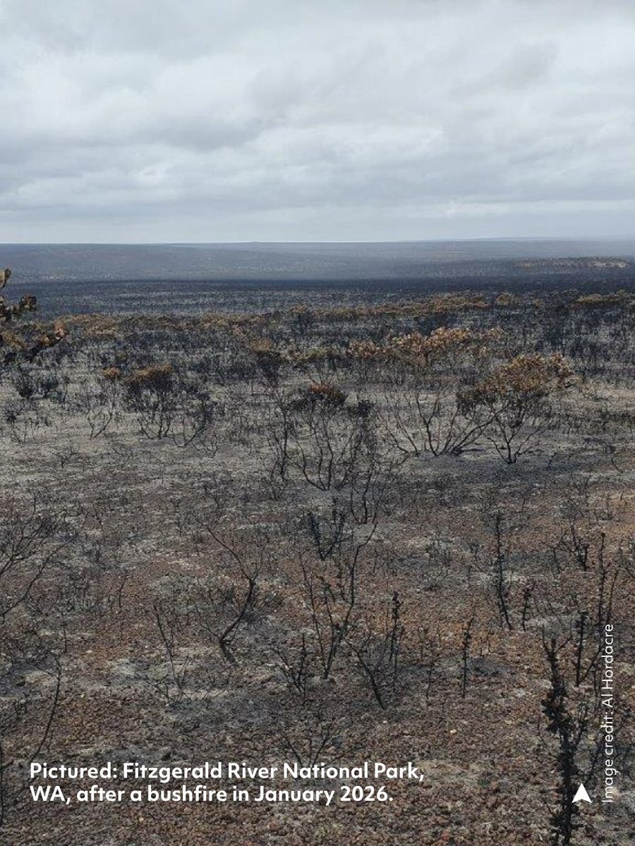 Australian Geographic tweet media