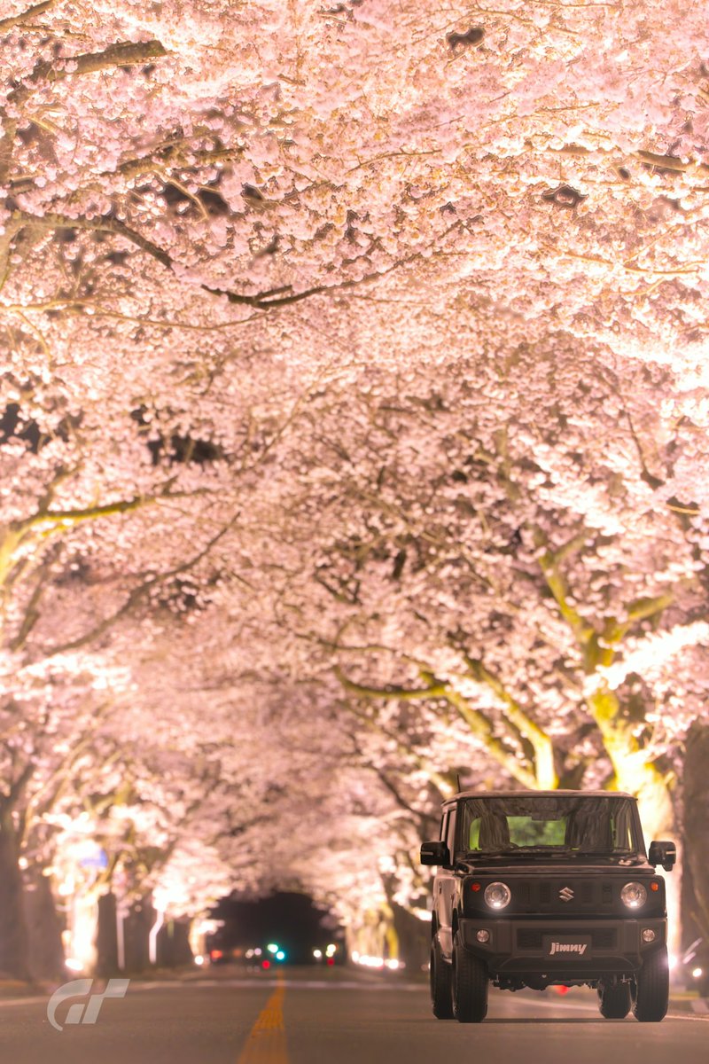hryk07161's tweet image. おはようございます
3.11 水曜日、今日もよろしくお願いします😀

夜の森桜トンネル/福島-日本
ジムニーXC `18🌸

#Scapes 　 #GranTurismo 
#GT7