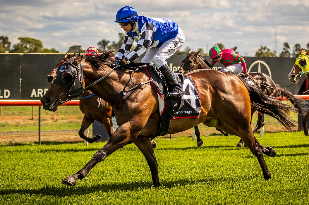 Racing NSW tweet media