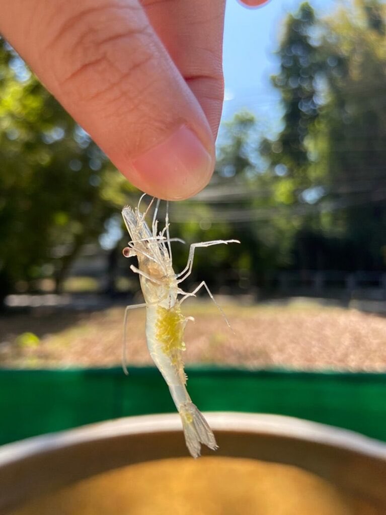 TANX (@tanxlive) on Twitter photo 