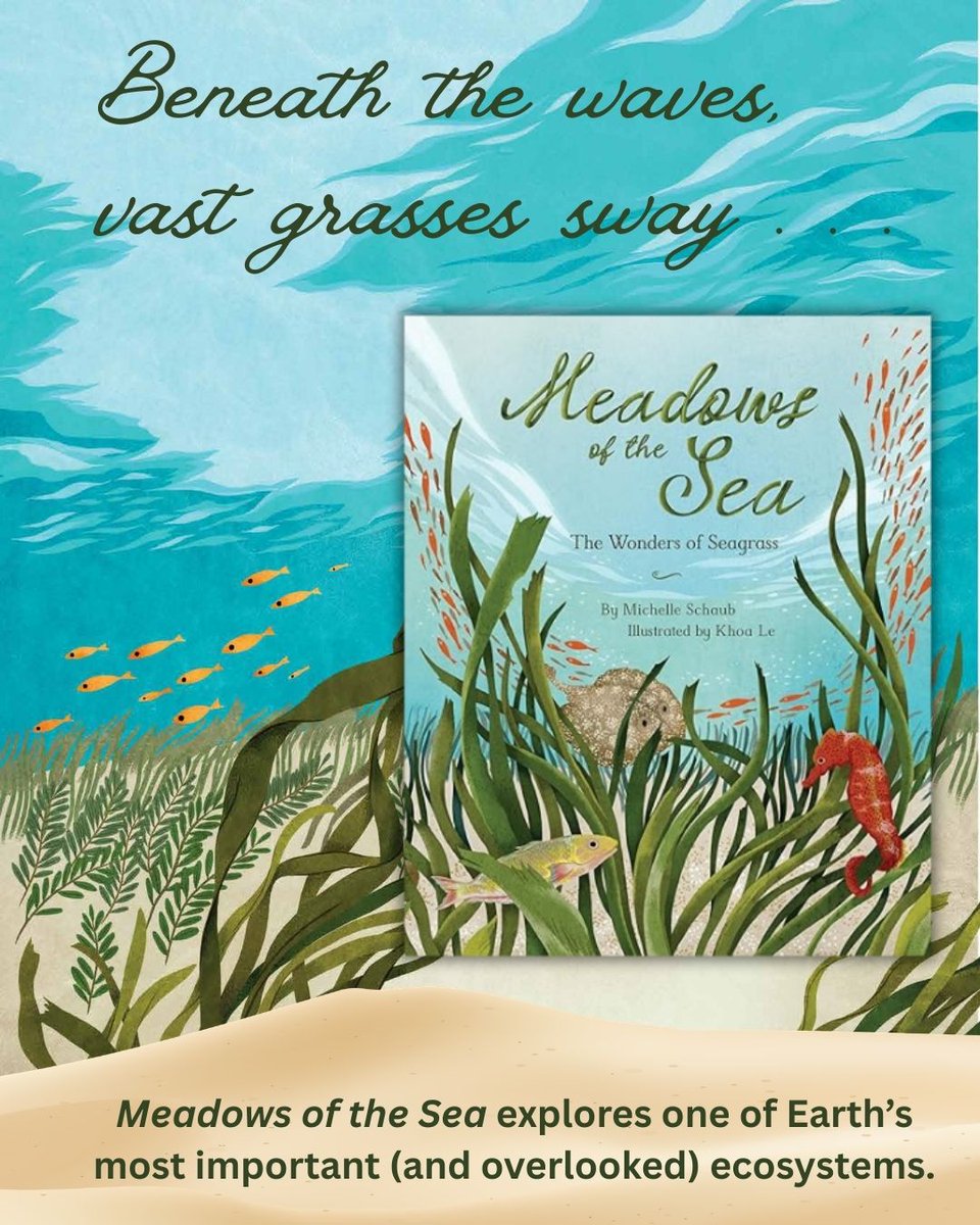 Michelle Schaub tweet media