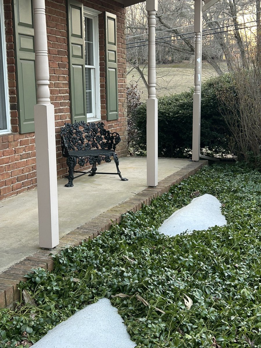 Andrea Verosko tweet media