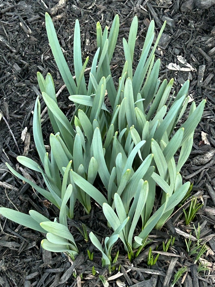 Andrea Verosko tweet media