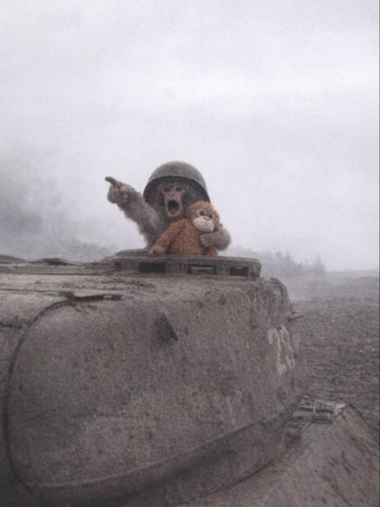 Future direction of meme is all depend on punch