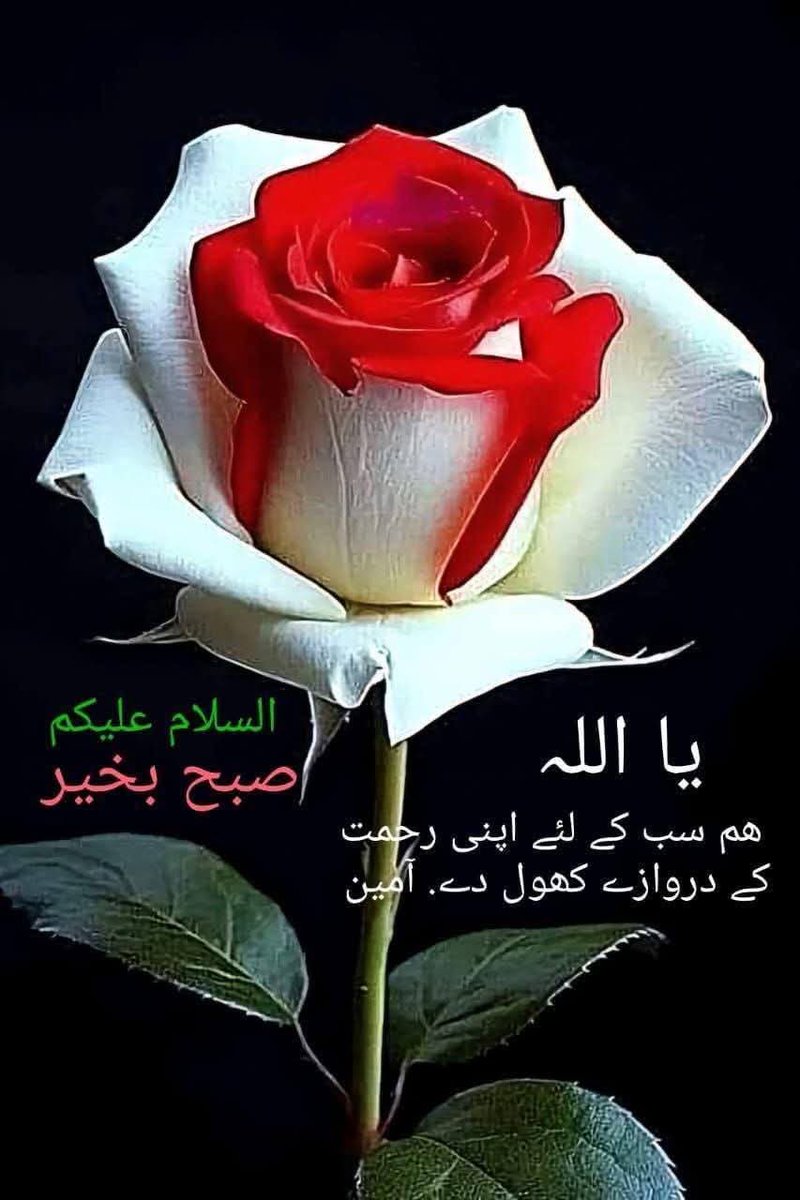 Noor Islam tweet media