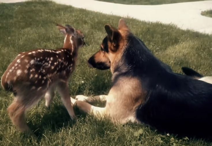 jopper lovers ᥫ᭡ tweet media