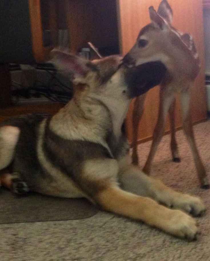 jopper lovers ᥫ᭡ tweet media