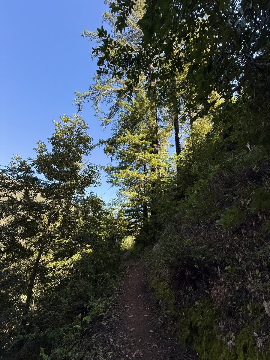 AdaptationsX tweet media