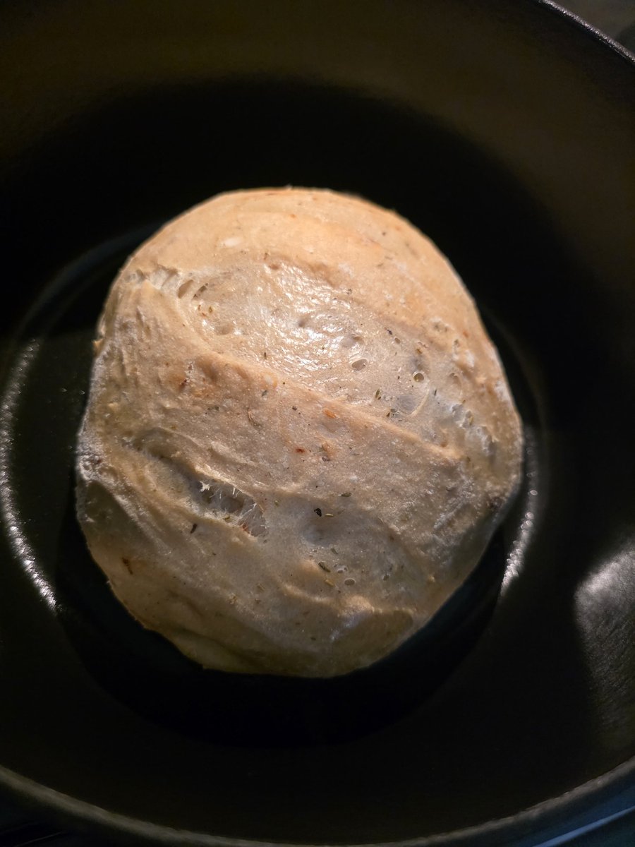 Selya | 3.0 rebrand coming soon tweet media