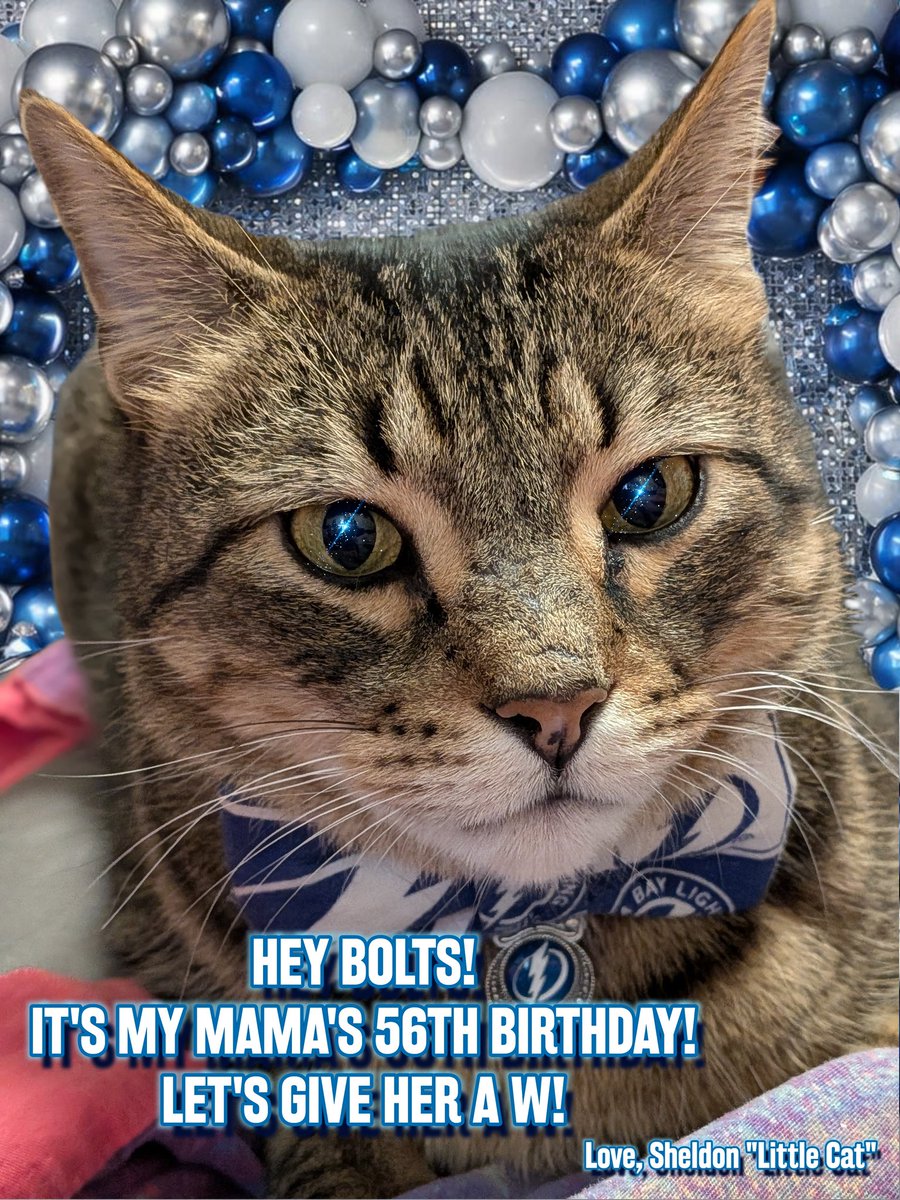 TheRainbowZee's tweet photo. @TBLightning Sheldon has a message for you! https://t.co/QtUTRi4xk4
