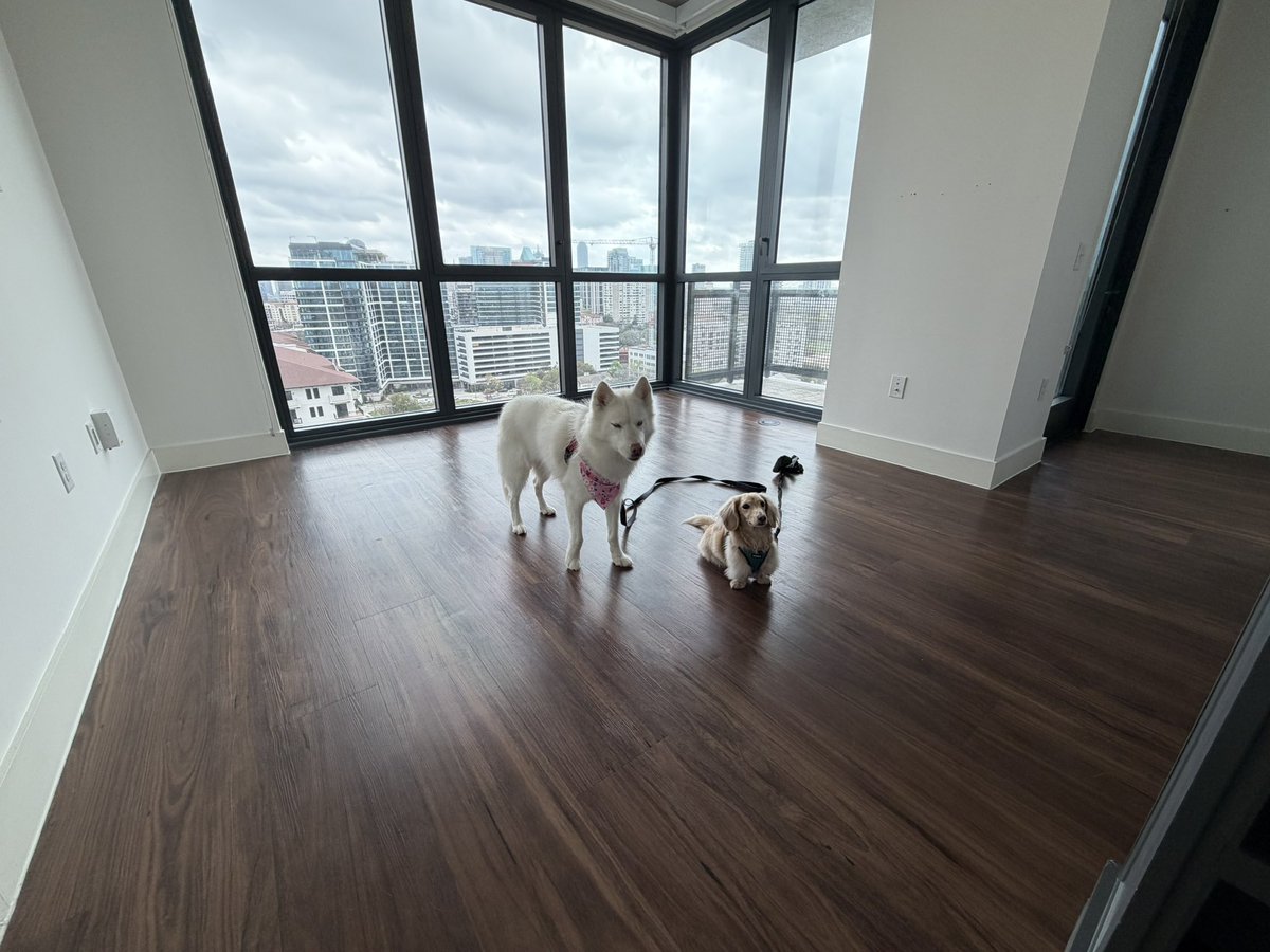 Sarah Schnugget tweet media