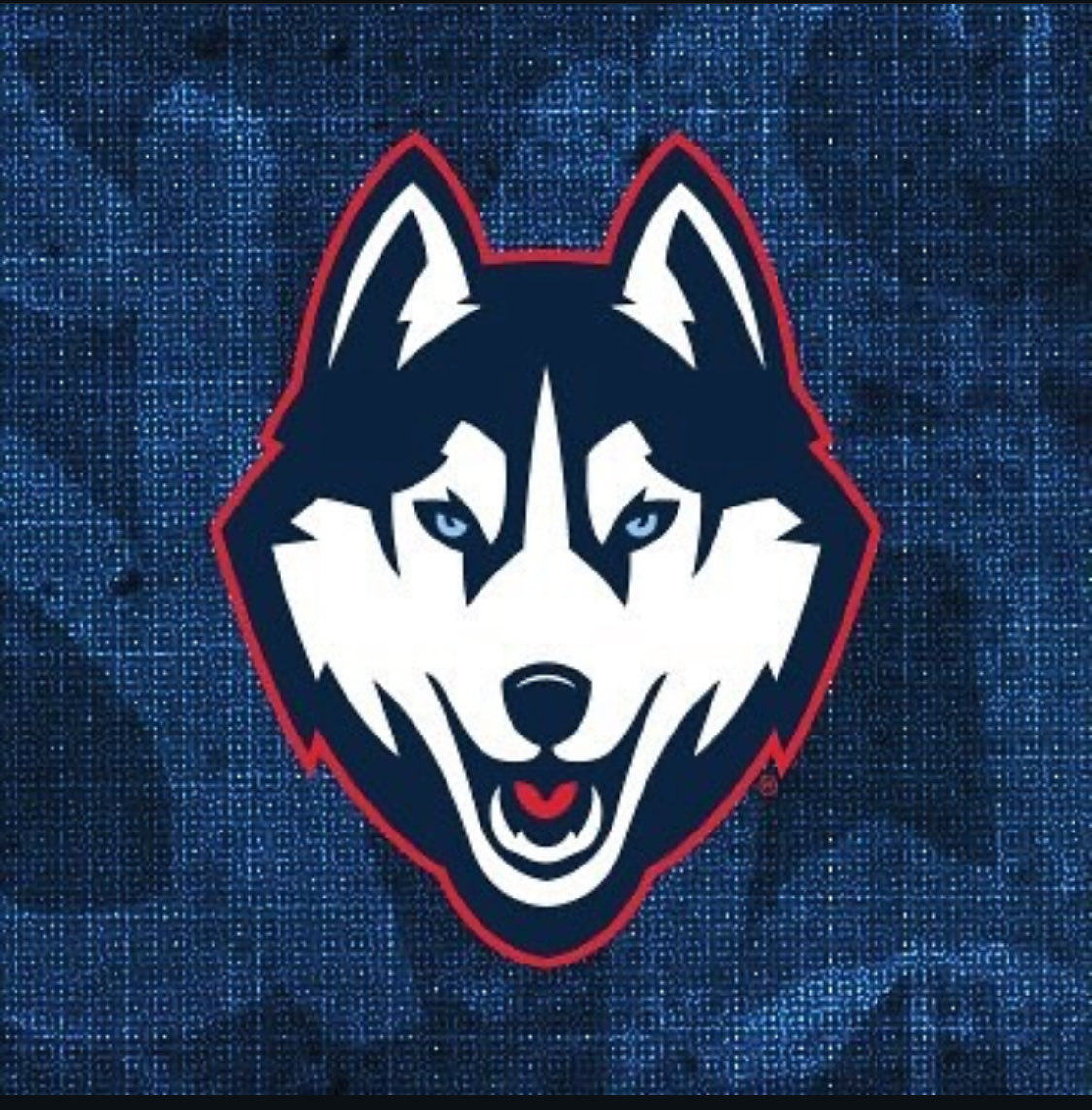 carr_lawre12665's tweet photo. UConn Offerd

@SevynBanks @TomLoy247 @AllenTrieu @adamgorney @GregSmithRivals @LemmingReport @PrepRedzoneIL @GMUConnFB @KAHS_Football @CGoffology https://t.co/TiitysOsgX