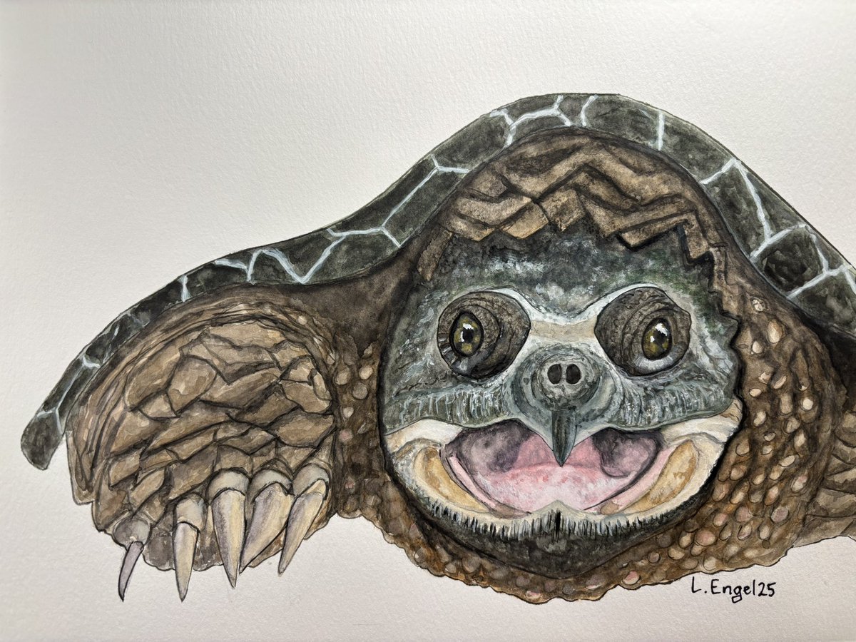 LisaEngel1689er's tweet photo. @JustinPetersMin Two months after my husband went to glory in late 2023, at 60 years old I picked up a paintbrush for the very first time and started painting. This fella I did within that first year. https://t.co/gHyks3GeJ5