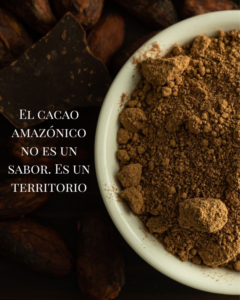 arinveshop's tweet photo. Cacao amazónico en polvo.
Perfil intenso, textura fina, identidad territorial.
Suministro disponible para industria alimentaria.
#cacao #foodindustry #exportacion #arinve https://t.co/K0xjhkXsgE