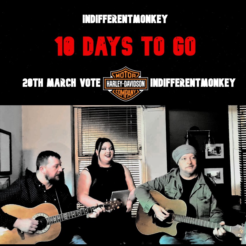 IndifferentMonKeY- tweet media