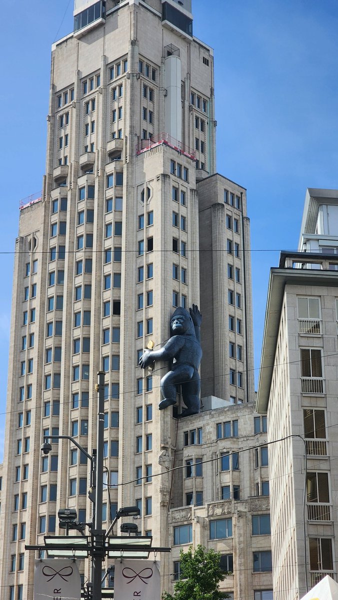 Matt Stultz tweet media