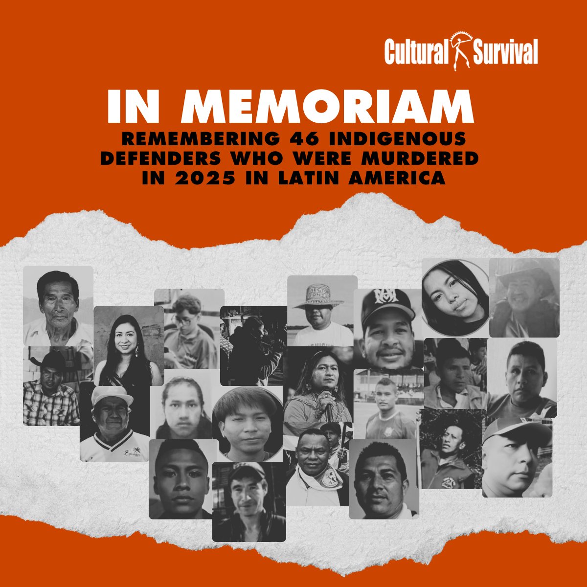 Cultural Survival tweet media