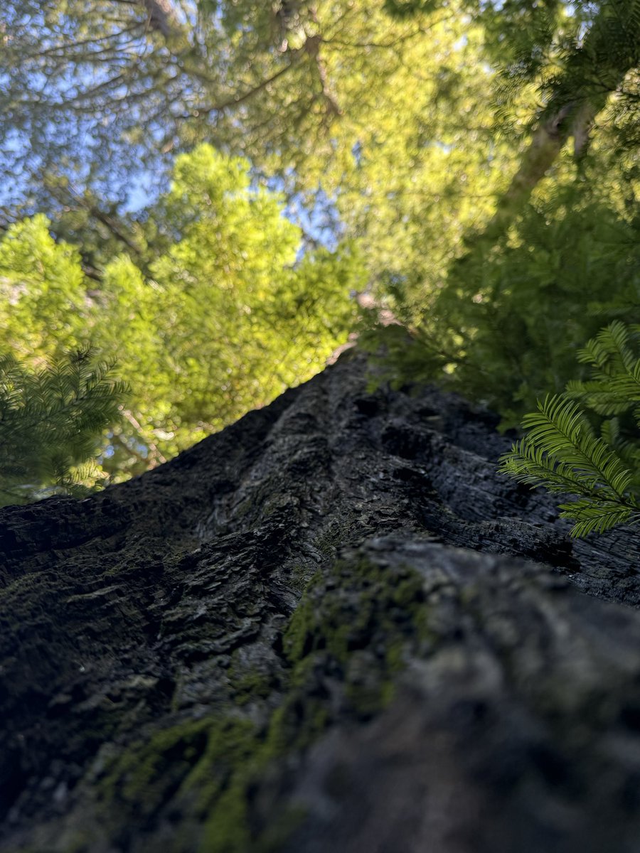 AdaptationsX tweet media