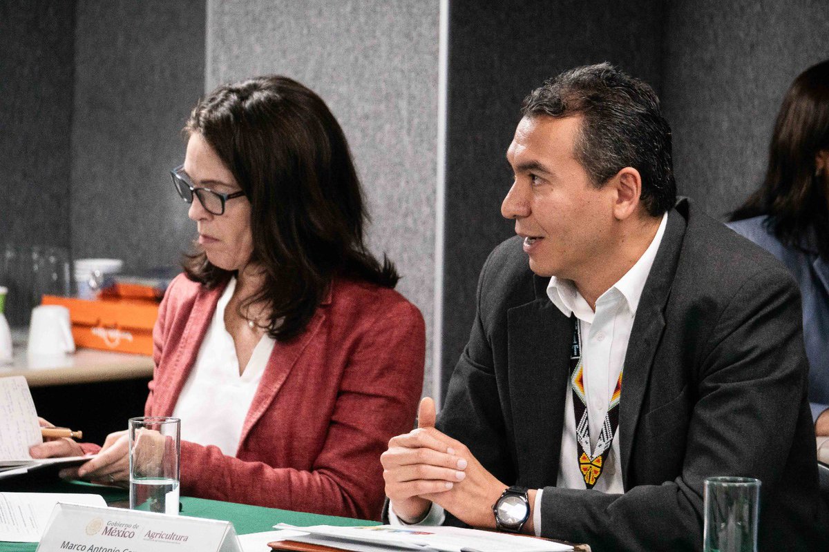 Agricultura_mex's tweet photo. ¡Producir más, en armonía con el medio ambiente y la salud humana, es nuestra prioridad! 🚫🧪🇲🇽
En reunión con el Relator Especial de la @ONU sobre sustancias tóxicas, la @Agricultura_mex reafirmó su compromiso con la reducción de plaguicidas de alta peligrosidad para garantizar el derecho humano a una vida sana.

Acciones contundentes por nuestro campo:
✅ Prohibición histórica: En 2025, avanzamos con la eliminación de 35 moléculas de plaguicidas y ya trabajamos en un segundo decreto para ampliar la prohibición de otras que también son nocivas para la salud humana y el medio ambiente.  🛡️🍎

✅ Actualización de la normativa: Fomentaremos la trazabilidad de los plaguicidas y controlaremos aquellos que no se pueden prohibir por carecer de alternativas.  
✅Protección a la biodiversidad: Fortalecemos la convivencia con polinizadores ante el uso de plaguicidas.
✅ Transición segura: @SENASICA capacita a productores en la sustitución de plaguicidas peligrosos por alternativas menos tóxicas.

Junto con @SRE_mx, @Semarnat_mx @Profepa_mx y @Conagua_mx, contribuimos a un manejo adecuado de plaguicidas y se promueve la recolección de envases vacíos para que nada ponga en riesgo a nuestro territorio, a nuestra gente y  al acceso a una alimentación sana 🌍💧