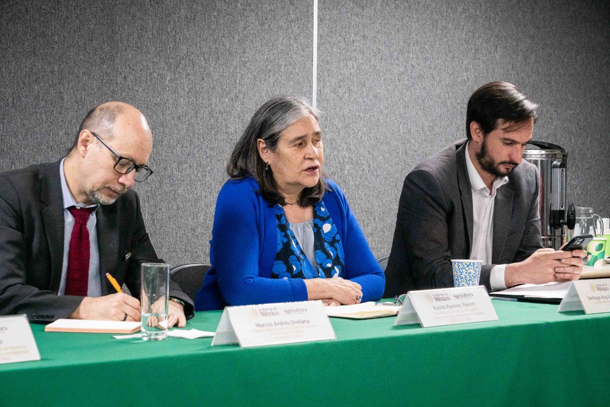 Agricultura_mex's tweet photo. ¡Producir más, en armonía con el medio ambiente y la salud humana, es nuestra prioridad! 🚫🧪🇲🇽
En reunión con el Relator Especial de la @ONU sobre sustancias tóxicas, la @Agricultura_mex reafirmó su compromiso con la reducción de plaguicidas de alta peligrosidad para garantizar el derecho humano a una vida sana.

Acciones contundentes por nuestro campo:
✅ Prohibición histórica: En 2025, avanzamos con la eliminación de 35 moléculas de plaguicidas y ya trabajamos en un segundo decreto para ampliar la prohibición de otras que también son nocivas para la salud humana y el medio ambiente.  🛡️🍎

✅ Actualización de la normativa: Fomentaremos la trazabilidad de los plaguicidas y controlaremos aquellos que no se pueden prohibir por carecer de alternativas.  
✅Protección a la biodiversidad: Fortalecemos la convivencia con polinizadores ante el uso de plaguicidas.
✅ Transición segura: @SENASICA capacita a productores en la sustitución de plaguicidas peligrosos por alternativas menos tóxicas.

Junto con @SRE_mx, @Semarnat_mx @Profepa_mx y @Conagua_mx, contribuimos a un manejo adecuado de plaguicidas y se promueve la recolección de envases vacíos para que nada ponga en riesgo a nuestro territorio, a nuestra gente y  al acceso a una alimentación sana 🌍💧