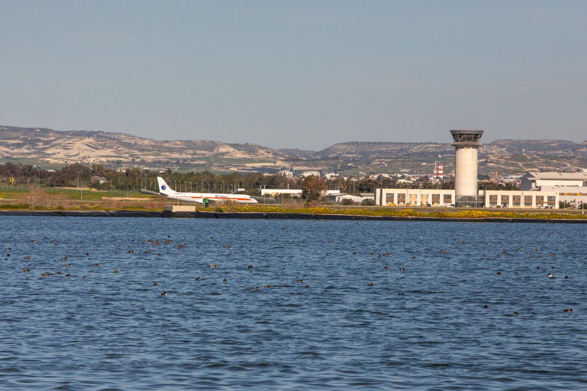 Sin Reservas • Aviación & Turismo tweet media