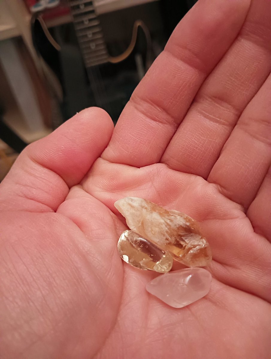 NAOKI HASHIMOTO tweet media