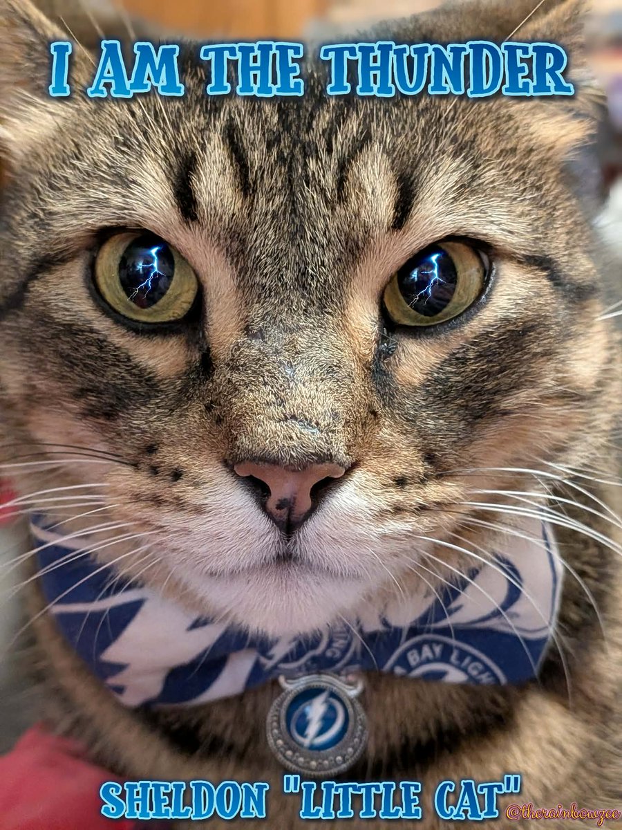 TheRainbowZee's tweet photo. Sheldon and I are bringing out the witchy mojo for the @TBLightning game tonight! 

⚡Lightening Strikes
🌩️ Thunder Rolls
💙 Bolts in Blue
🚨 SCORE THE GOALS
As above, so below, SO MOTE IT BE ✨💙✨ https://t.co/O7HjWtqvMQ