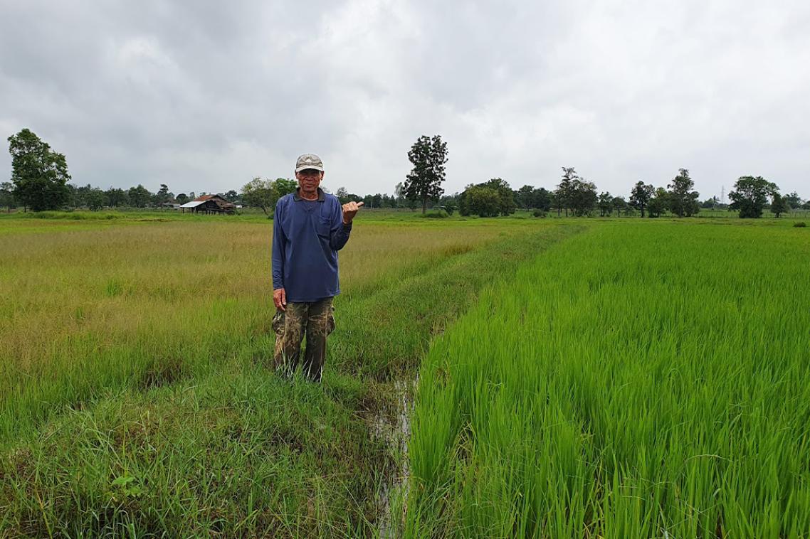 UQ Science tweet media