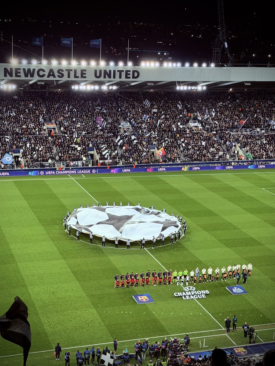 Deka Petrie tweet media