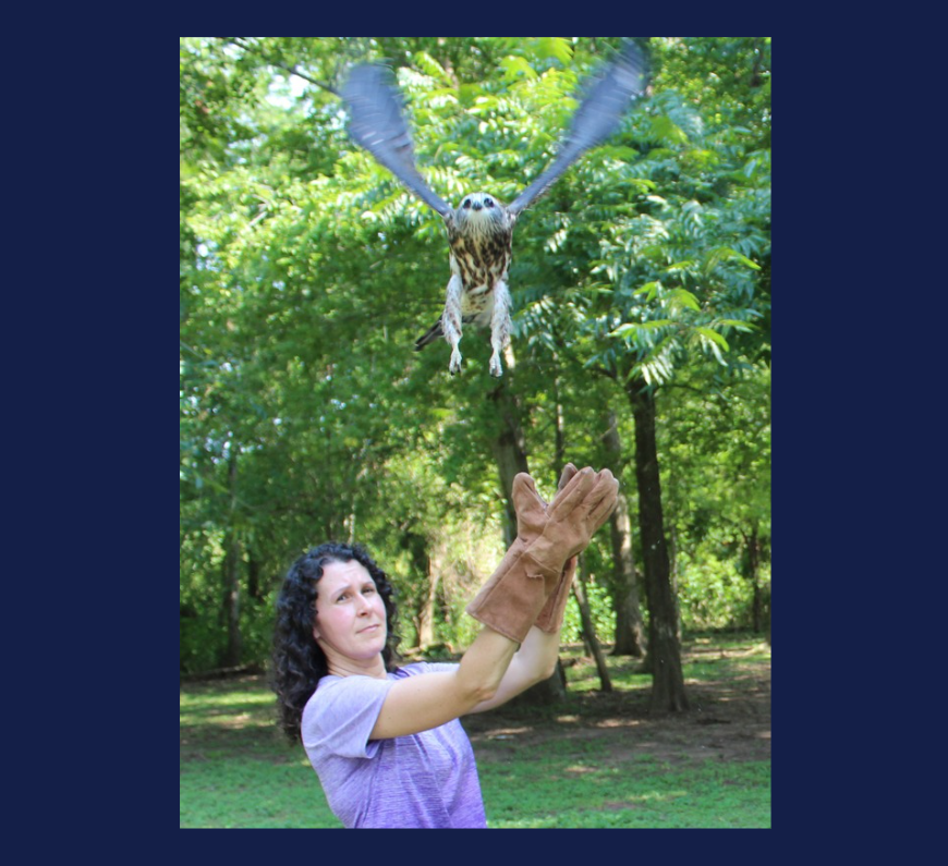 Happy National Wildlife Rehabilitator Appreciation Day!

In 2025, our team treated more than 17,000 wild animals, from tiny songbirds to opossums, turtles, and squirrels. Today, we celebrate the dedicated rehabilitators and volunteers who make this lifesaving work possible.🙌