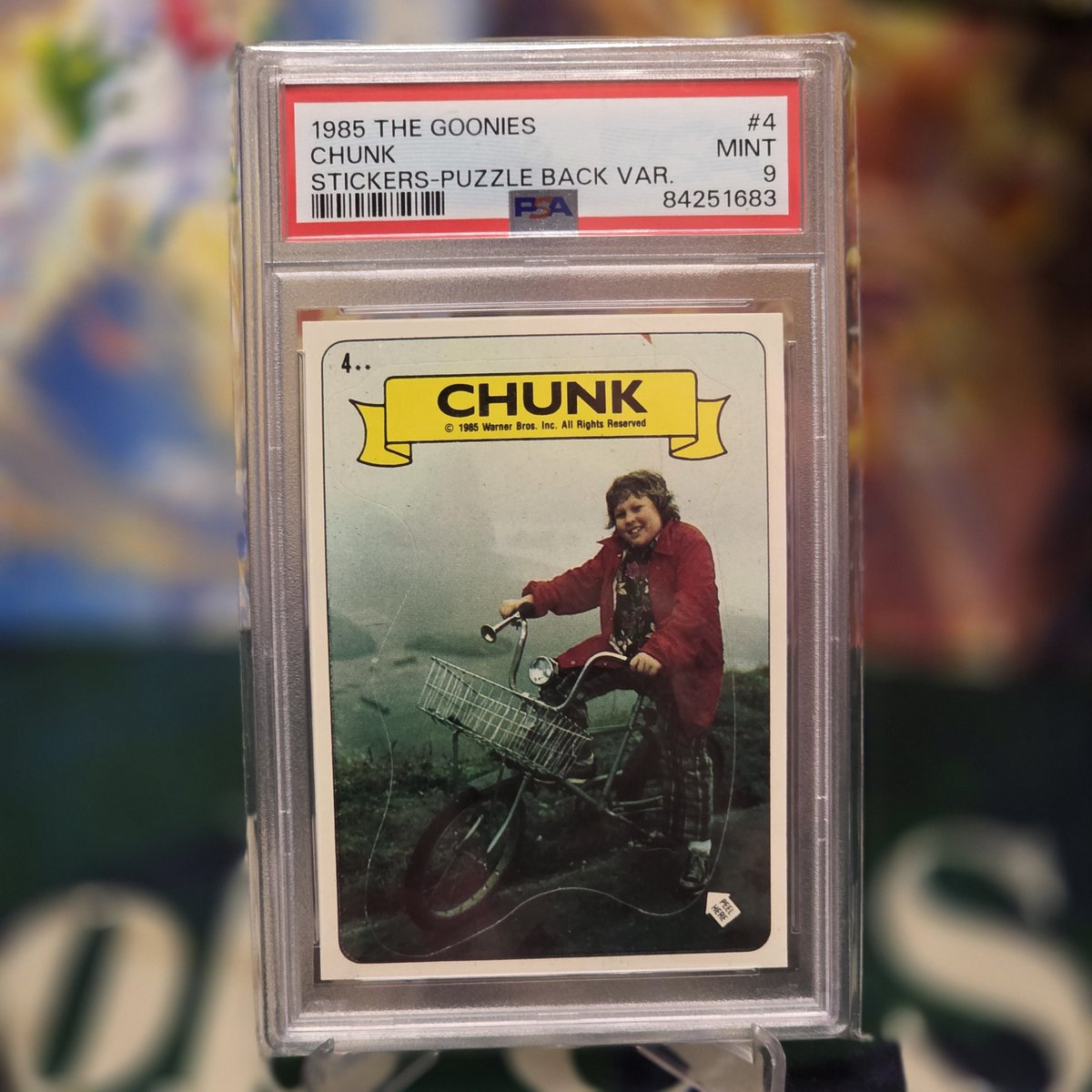 𝕁𝕒𝕪 𝔹𝕠𝕓 & 𝕊𝕠𝕟𝕤 tweet media