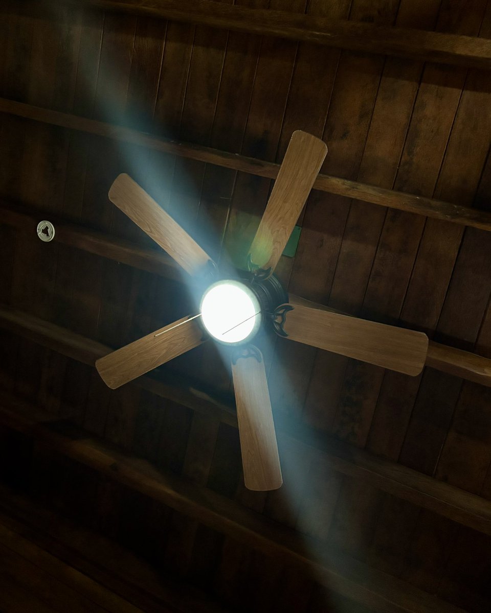 alexlavoignetf's tweet photo. 🏠🪵🟤💻 #woodencabin #technology #business #remotebase #meetings https://t.co/BYw301cBmu