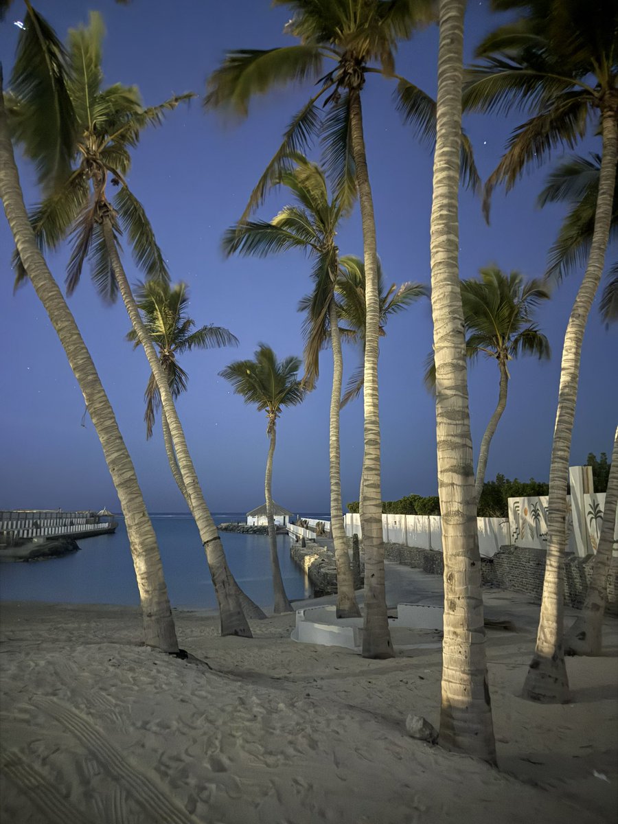 عبدالله🥇 tweet media