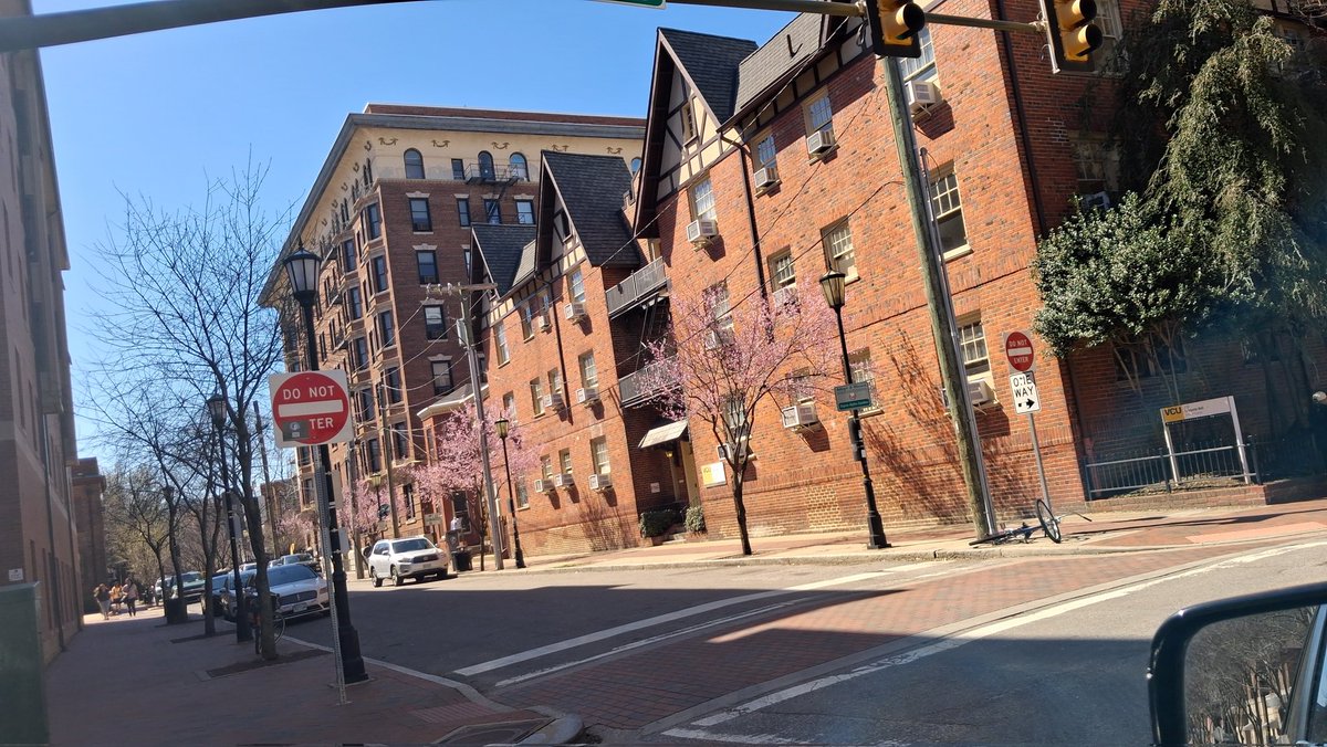 Erik Bootsma🌸🇳🇱 tweet media