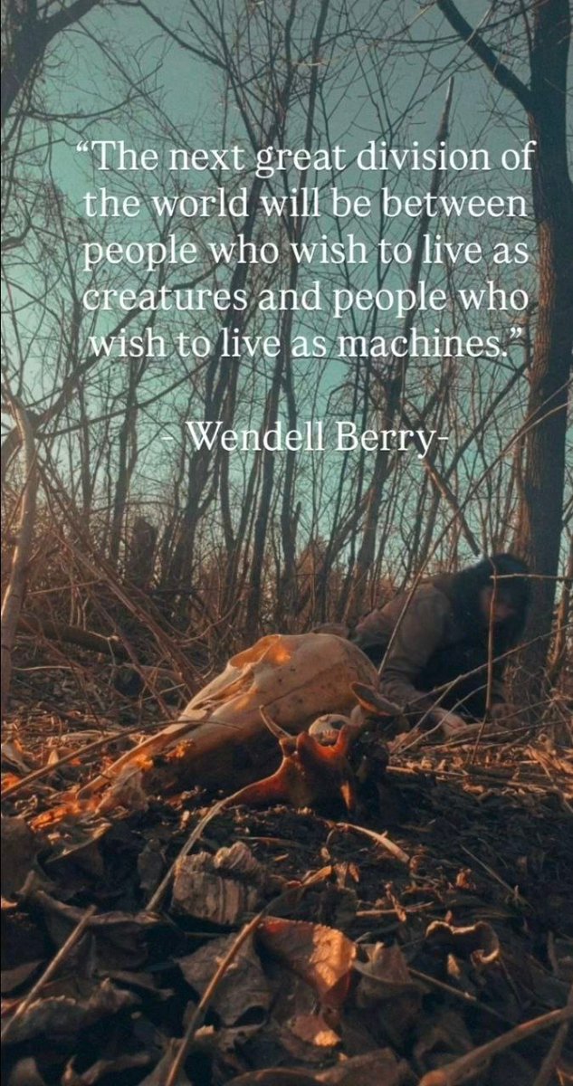 BowTiedQueenBee tweet media