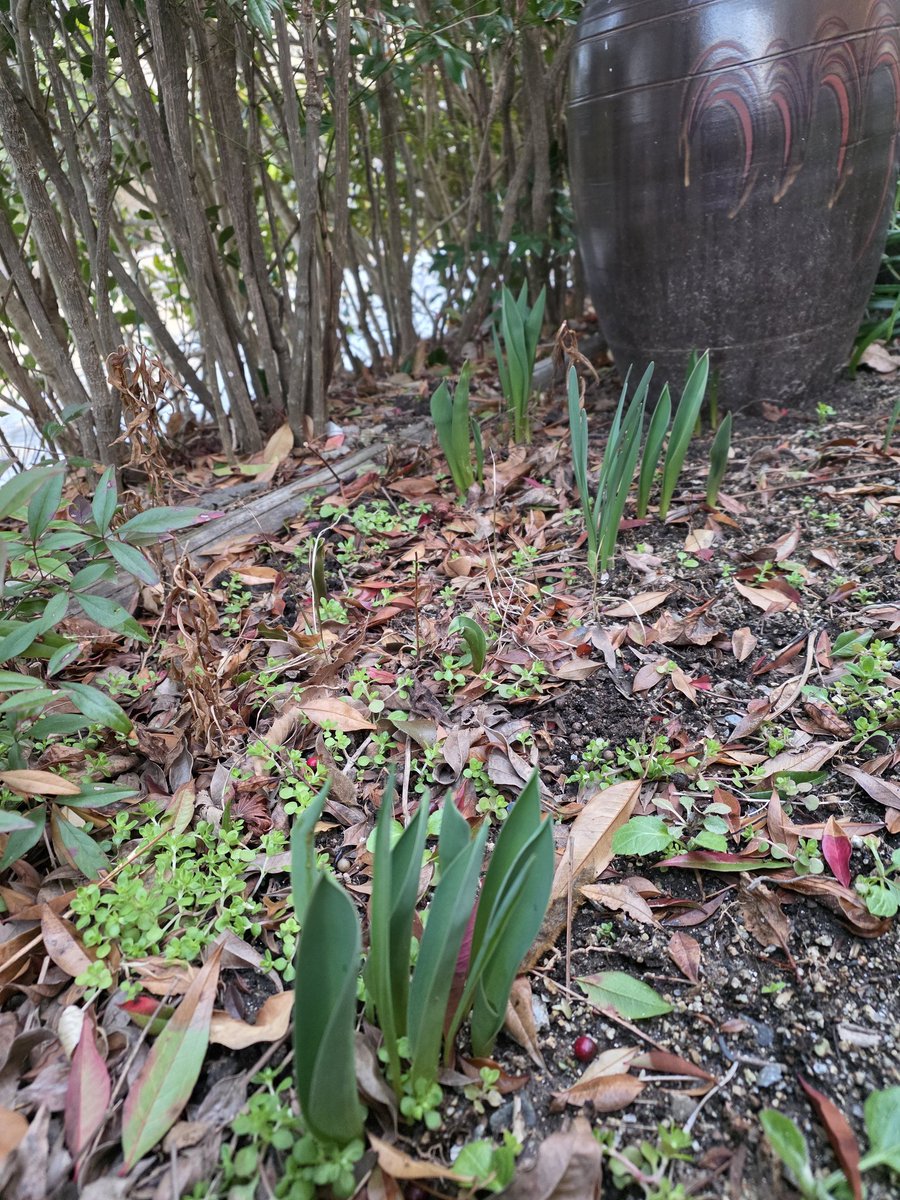 국민의힘 전남도당 위원장 tweet media