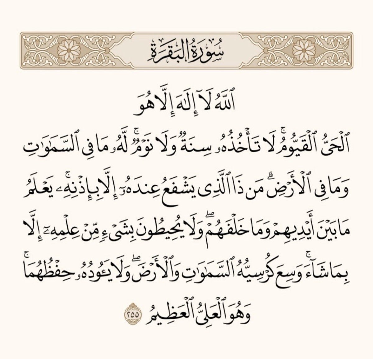 المدير tweet media