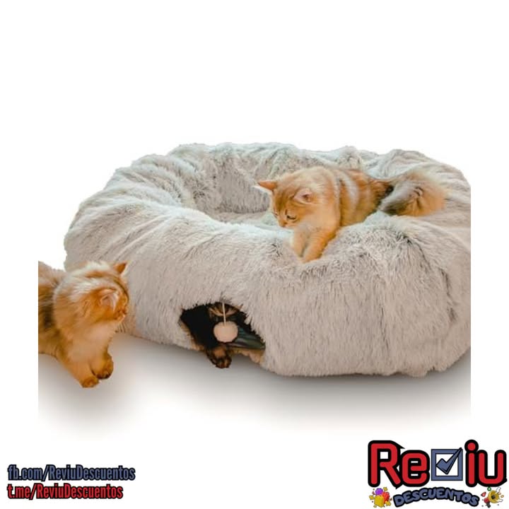 ReviuDescuentos's tweet photo. 🔥¡Oferta Imperdible!🔥
✅$22.09 con 42% Off!  
¡Aprovecha envíos GRATIS! 📦
Cama túnel extra grande para gatos 🐱
Compra aquí➡️: https://t.co/XEpfDH1ETB
💰 ¡No te lo pierdas! #ad https://t.co/hAuxrFYNmr