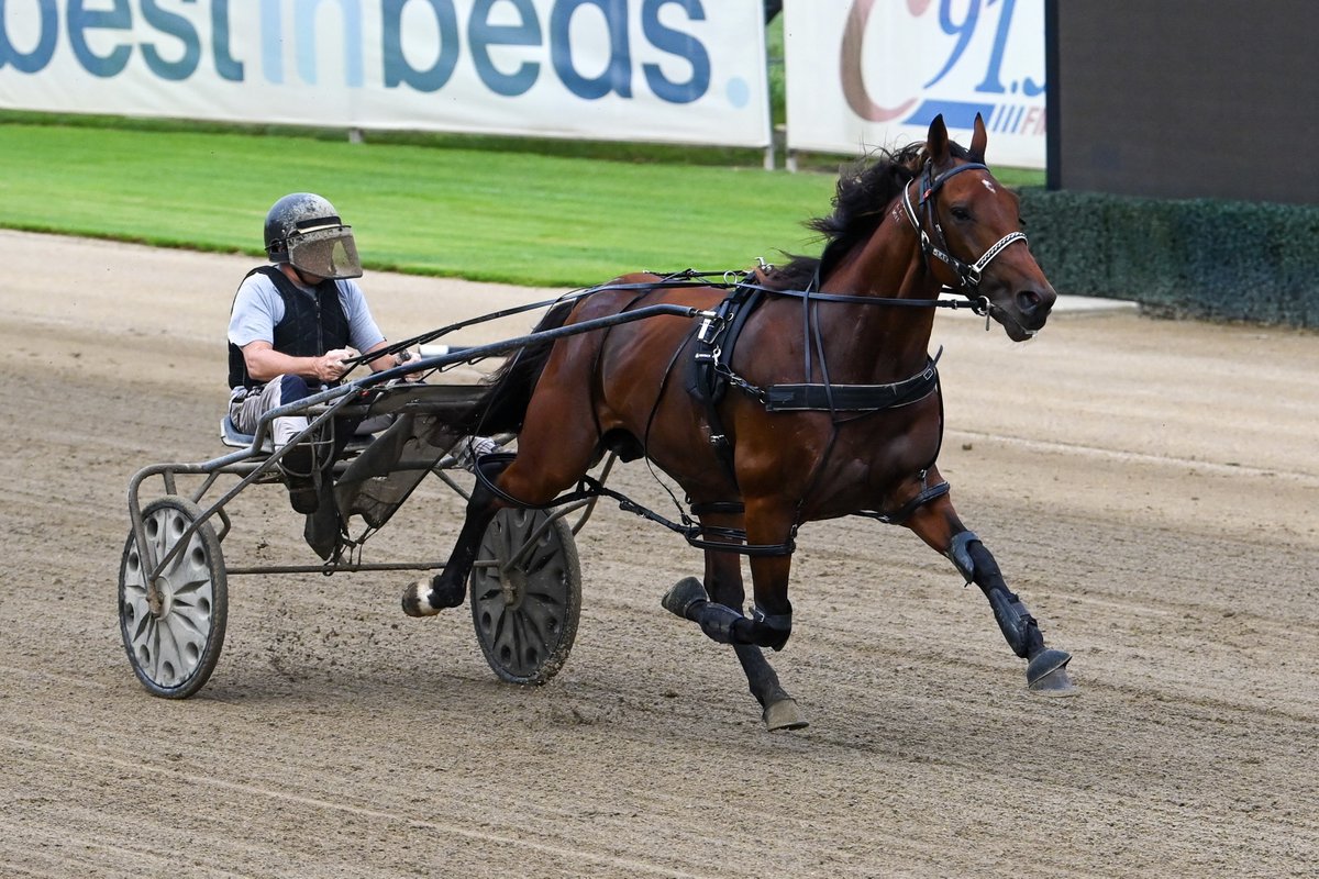 ClubMenangle's tweet photo. A morning with 2024 @GarrardsHnH Miracle Mile champion, Leap To Fame.โจ๐
#ClubMenangle #TABCarnivalofMiracles #feelthemagic https://t.co/5v6jx83uBa