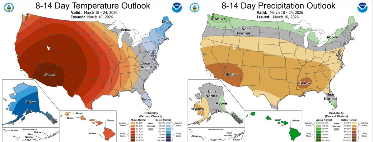 Dennis Voznesenski tweet media