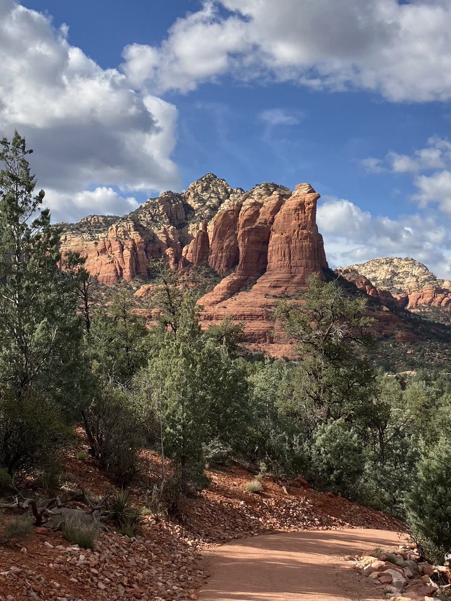 Marion Ross PhD tweet media