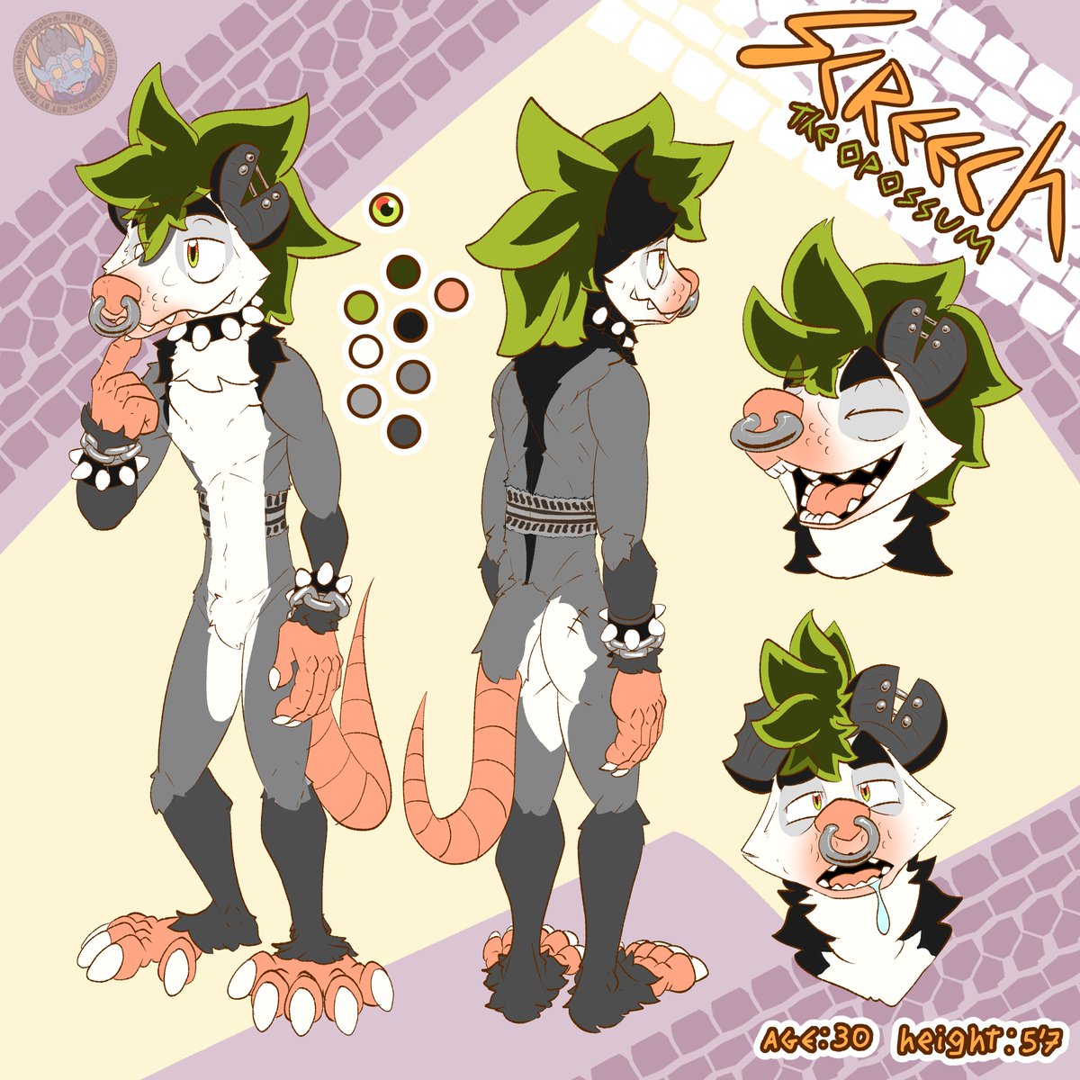 TaphenOrTohgjen's tweet photo. AY! Here is some @possum4lunch's ref sheet for your appreciation!! https://t.co/SGOfzaqdga