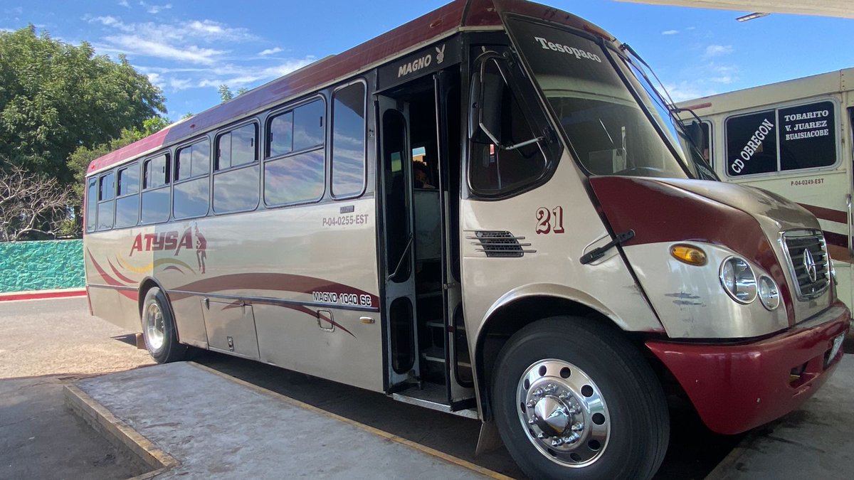 IMTESonora tweet media