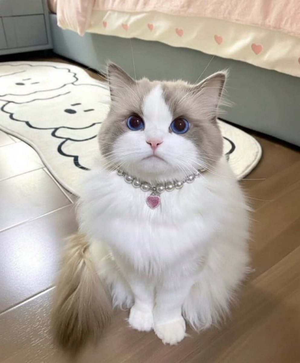 Honey 🛼 tweet media