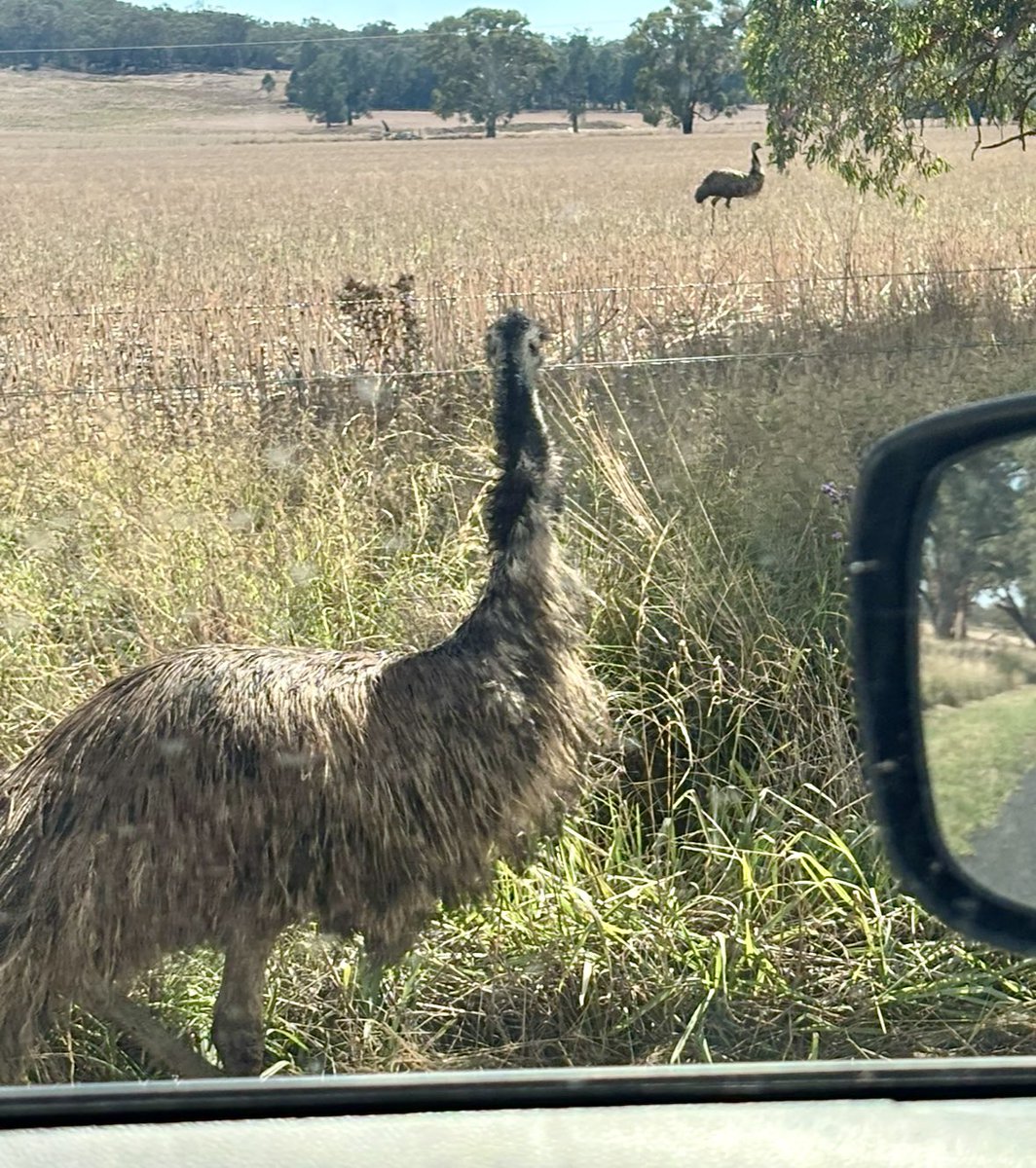 Kiaarn Dickens tweet media