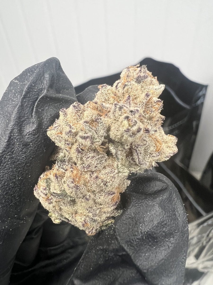 Ben_grows tweet media