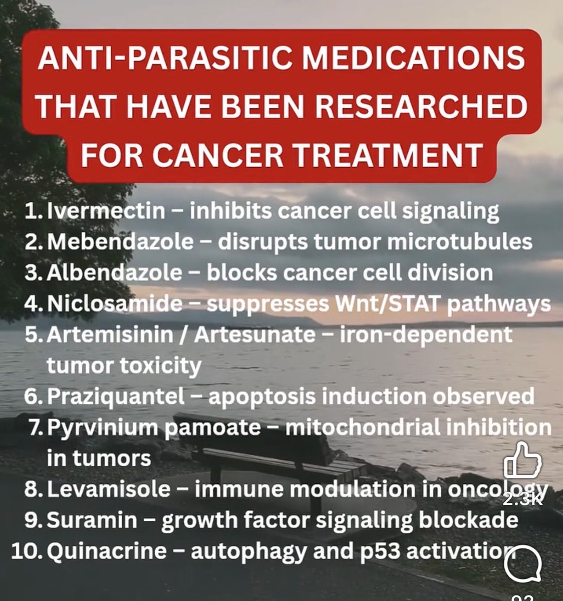 A little birdie that’s smart told me to share this!!! 🥰🙏🏼🫶💛
<a href="/Biznitch1177/">Biznitch</a> 😊